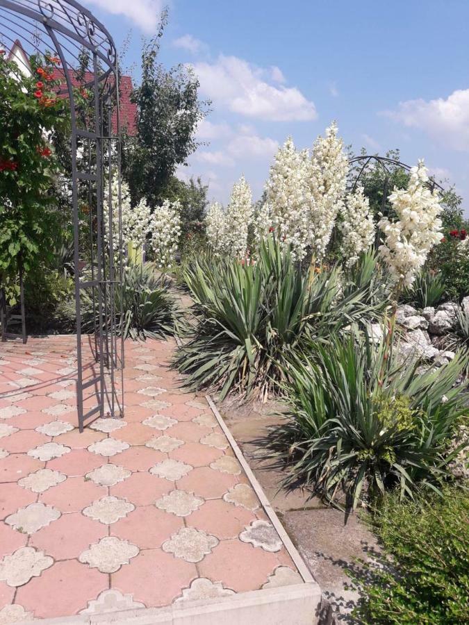 Отель Пані Анна Каменец-Подольский Экстерьер фото